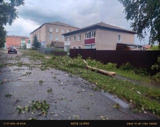 Ураганный ветер повалил деревья в поселке Таштып